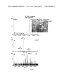 System and Methods for Ionizing Compounds using Matrix-assistance for Mass     Spectometry and Ion Mobility Spectometry diagram and image