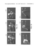 3D MANIPULATION USING APPLIED PRESSURE diagram and image