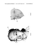 TECHNIQUES FOR PROCESSING RECONSTRUCTED THREE-DIMENSIONAL IMAGE DATA diagram and image