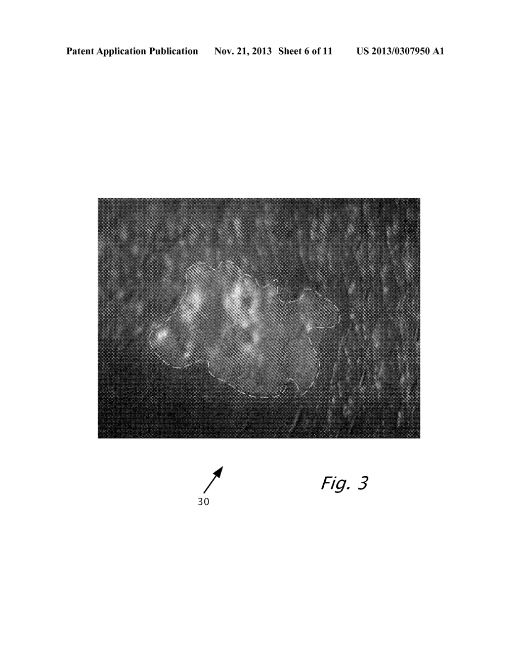 OPTICAL POLARIMETRIC IMAGING - diagram, schematic, and image 07