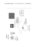 SENSOR-SYNCHRONIZED SPECTRALLY-STRUCTURED-LIGHT IMAGING diagram and image