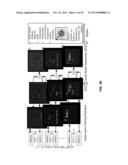 Feature Detection in Numeric Data diagram and image