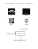 Seeds and Markers for Use in Imaging diagram and image