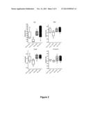 TAM RECEPTORS AND TAM RECEPTOR LIGANDS IN DETECTION AND MODULATION OF     NEUROPATHOLOGICAL DISEASE diagram and image