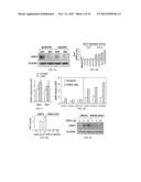 JAGGED1 AS A MARKER AND THERAPEUTIC TARGET FOR BREAST CANCER BONE     METASTASIS diagram and image