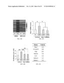 JAGGED1 AS A MARKER AND THERAPEUTIC TARGET FOR BREAST CANCER BONE     METASTASIS diagram and image