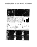 COMPOUNDS AND METHODS diagram and image