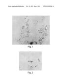 CRYSTALLINE ANTI-HTNFALPHA ANTIBODIES diagram and image