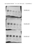 STABLE SILVER OXIDE FORMULATIONS diagram and image