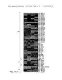 COMPOSITIONS AND METHODS FOR THE TREATMENT OR PREVENTION OF CHEMORESISTANT     NEOPLASIA diagram and image