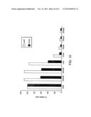 COMPOSITIONS AND METHODS FOR THE TREATMENT OR PREVENTION OF CHEMORESISTANT     NEOPLASIA diagram and image