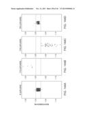 METHODS AND PROCESSES FOR NON-INVASIVE ASSESSMENT OF GENETIC VARIATIONS diagram and image