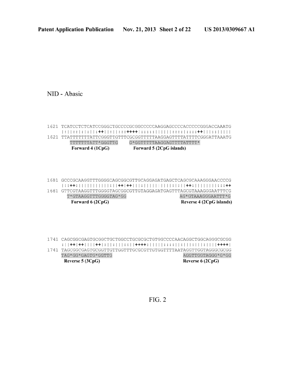 PRIMERS FOR ANALYZING METHYLATED SEQUENCES AND METHODS OF USE THEREOF - diagram, schematic, and image 03