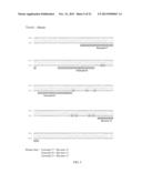 PRIMERS FOR ANALYZING METHYLATED SEQUENCES AND METHODS OF USE THEREOF diagram and image