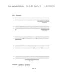 PRIMERS FOR ANALYZING METHYLATED SEQUENCES AND METHODS OF USE THEREOF diagram and image