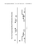 PRIMERS FOR ANALYZING METHYLATED SEQUENCES AND METHODS OF USE THEREOF diagram and image