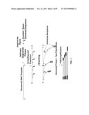 METHODS AND COMPOSITIONS FOR GENERATING AND AMPLIFYING DNA LIBRARIES FOR     SENSITIVE DETECTION AND ANALYSIS OF DNA METHYLATION diagram and image