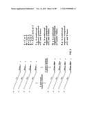 METHODS AND COMPOSITIONS FOR GENERATING AND AMPLIFYING DNA LIBRARIES FOR     SENSITIVE DETECTION AND ANALYSIS OF DNA METHYLATION diagram and image