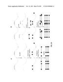 METHODS AND COMPOSITIONS FOR GENERATING AND AMPLIFYING DNA LIBRARIES FOR     SENSITIVE DETECTION AND ANALYSIS OF DNA METHYLATION diagram and image