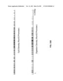 METHODS AND COMPOSITIONS FOR GENERATING AND AMPLIFYING DNA LIBRARIES FOR     SENSITIVE DETECTION AND ANALYSIS OF DNA METHYLATION diagram and image