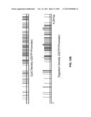 METHODS AND COMPOSITIONS FOR GENERATING AND AMPLIFYING DNA LIBRARIES FOR     SENSITIVE DETECTION AND ANALYSIS OF DNA METHYLATION diagram and image