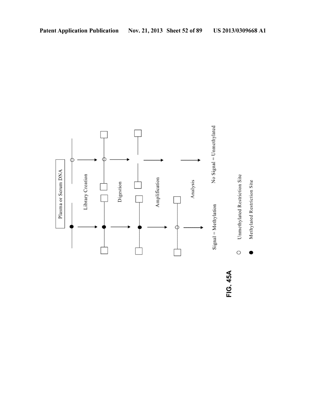METHODS AND COMPOSITIONS FOR GENERATING AND AMPLIFYING DNA LIBRARIES FOR     SENSITIVE DETECTION AND ANALYSIS OF DNA METHYLATION - diagram, schematic, and image 53