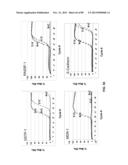 METHODS AND COMPOSITIONS FOR GENERATING AND AMPLIFYING DNA LIBRARIES FOR     SENSITIVE DETECTION AND ANALYSIS OF DNA METHYLATION diagram and image