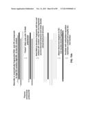 METHODS AND COMPOSITIONS FOR GENERATING AND AMPLIFYING DNA LIBRARIES FOR     SENSITIVE DETECTION AND ANALYSIS OF DNA METHYLATION diagram and image