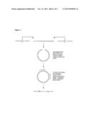 Methods of Identification Using Methylation of CPG diagram and image