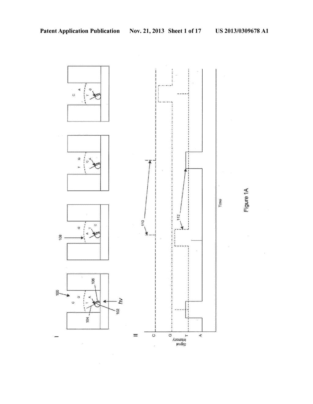 COMPOSITIONS AND METHODS FOR NUCLEIC ACID SEQUENCING - diagram, schematic, and image 02