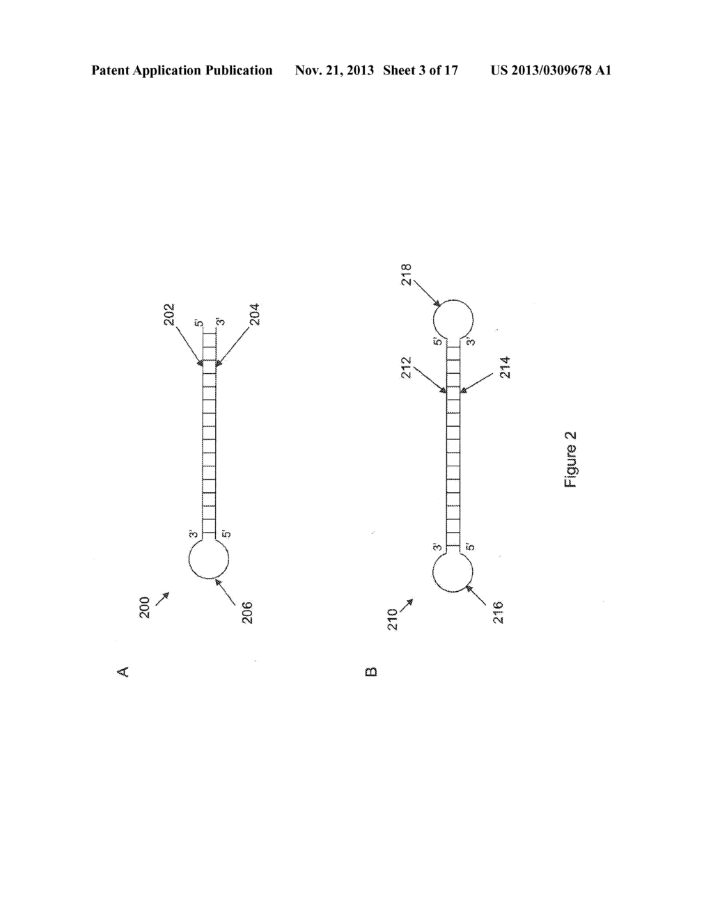 COMPOSITIONS AND METHODS FOR NUCLEIC ACID SEQUENCING - diagram, schematic, and image 04