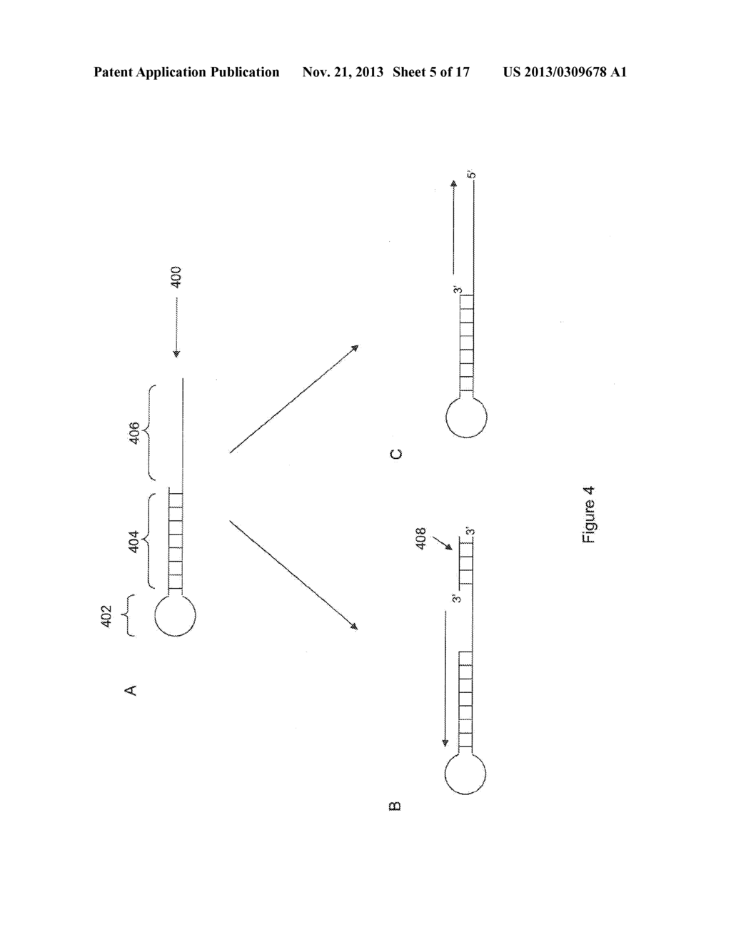 COMPOSITIONS AND METHODS FOR NUCLEIC ACID SEQUENCING - diagram, schematic, and image 06
