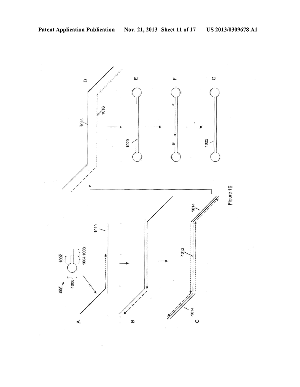 COMPOSITIONS AND METHODS FOR NUCLEIC ACID SEQUENCING - diagram, schematic, and image 12