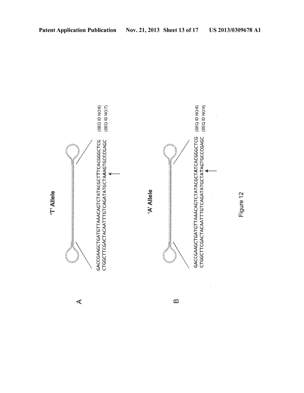 COMPOSITIONS AND METHODS FOR NUCLEIC ACID SEQUENCING - diagram, schematic, and image 14