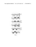 FLUIDIC DEVICES AND SYSTEMS FOR SAMPLE PREPARATION OR AUTONOMOUS ANALYSIS diagram and image