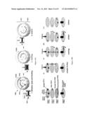 FLUIDIC DEVICES AND SYSTEMS FOR SAMPLE PREPARATION OR AUTONOMOUS ANALYSIS diagram and image