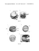 FLUIDIC DEVICES AND SYSTEMS FOR SAMPLE PREPARATION OR AUTONOMOUS ANALYSIS diagram and image