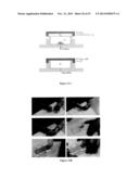 FLUIDIC DEVICES AND SYSTEMS FOR SAMPLE PREPARATION OR AUTONOMOUS ANALYSIS diagram and image