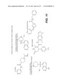 Immortalization of Epithelial Cells and Methods of Use diagram and image