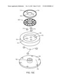 VIABILITY STAINING METHOD diagram and image