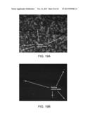 VIABILITY STAINING METHOD diagram and image