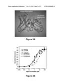 ANTIBODY PURIFICATION VIA AFFINITY CHROMATOGRAPHY diagram and image