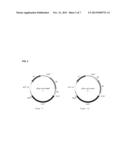 STABILIZED RECOMBINANT EXPRESSION PLASMID VECTOR IN HAFNIA ALVEI AND     APPLICATIONS THEREOF diagram and image