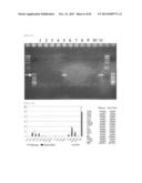 METHOD FOR TRANSFORMATION OF STRAMENOPILE diagram and image