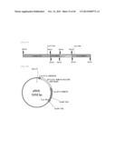 METHOD FOR TRANSFORMATION OF STRAMENOPILE diagram and image