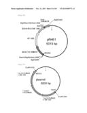 METHOD FOR TRANSFORMATION OF STRAMENOPILE diagram and image