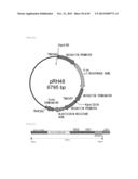 METHOD FOR TRANSFORMATION OF STRAMENOPILE diagram and image