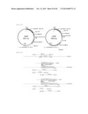 METHOD FOR TRANSFORMATION OF STRAMENOPILE diagram and image