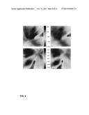 NON-PARAMETRIC POWER SPECTRAL DENSITY (PSD) MAP CONSTRUCTION diagram and image