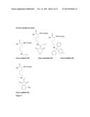 METHODS OF PREPARING CYCLIC PEPTIDES AND USES THEREOF diagram and image